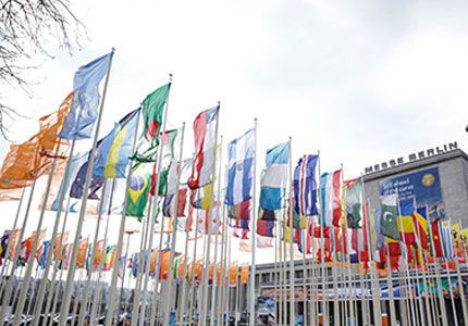 Odoo - Sample 3 for three columns